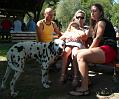 Sommerfest SCS 2009-20